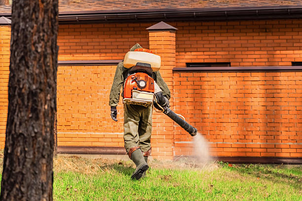 Trusted Termite Control service in Queen City, TX - Nex Pest Control